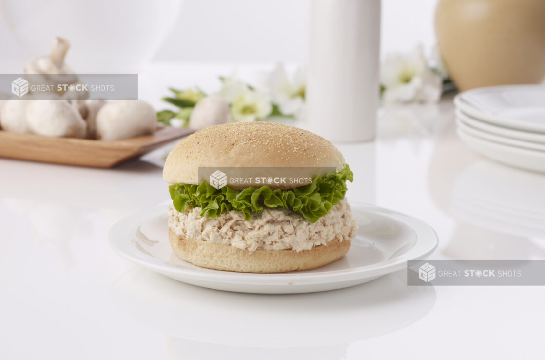 Chicken salad sandwich on a white plate