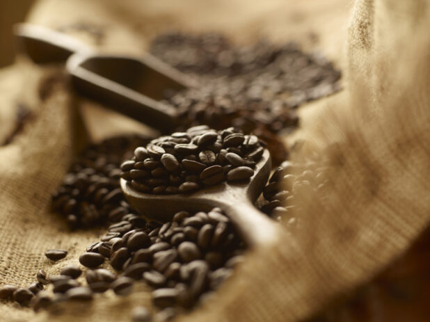 Close Up of Whole Roasted Coffee Beans In and Under a Wooden Spoon on a Burlap Surface in an Indoor Setting
