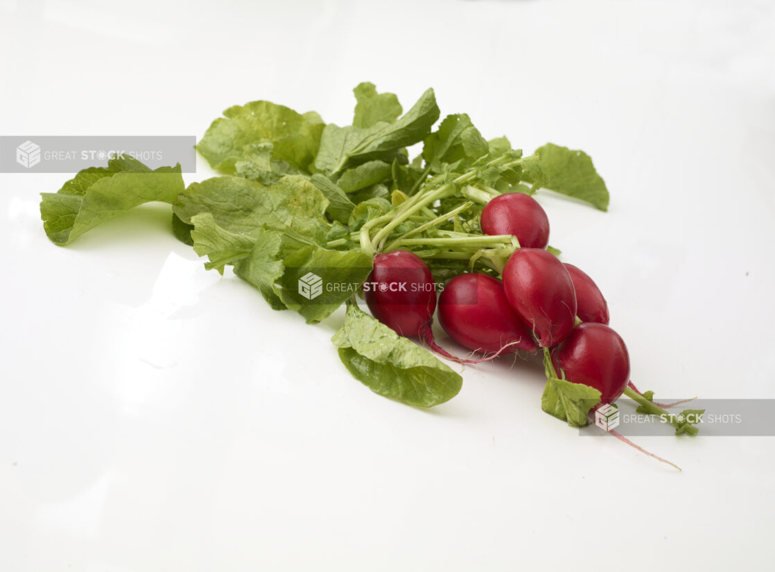 Radish Bunch - Raw Ingredients on White