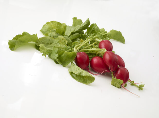 Radish Bunch - Raw Ingredients on White