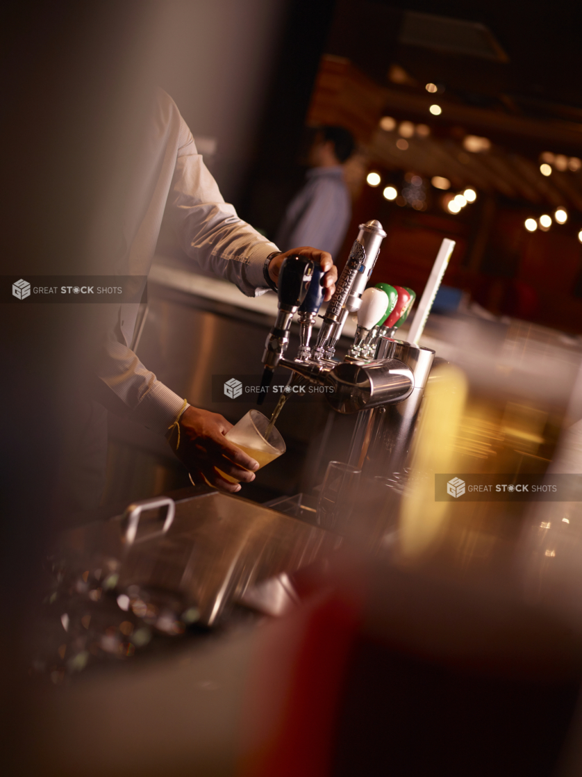 Bartender at Beer Taps Pulling a Half Pint Glass of Beer in a Restaurant Bar Setting