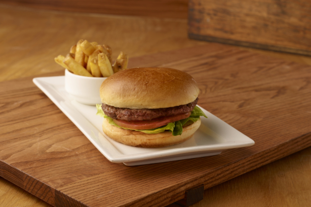 Kids Hamburger and Fries Combo Meal on a Rectangular White Ceramic Platter on a Wooden Cutting Board in an Indoor Setting