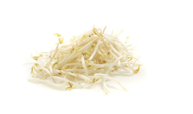 Bean sprouts piled on a white background