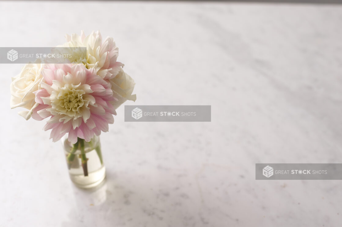 White and pink flowers in a small clear glass vase left of centre on a white marble background