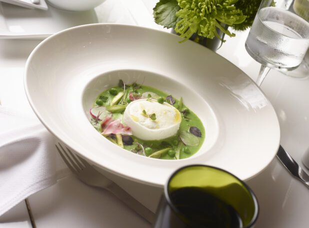 A White Ceramic Bowl of Young Pea Soup with Asparagus, Radishes and a Poached Egg on a White Table Cloth in a Restaurant Setting
