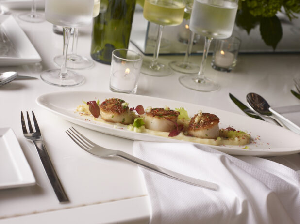Pan seared scallops on an oval white plate in an elegant restaurant setting