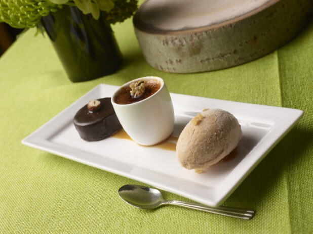Mini Sacher torte, Creme Brulé and Hazelnut gelato on a rectangular white plate with caramel garnish on a lime green tablecloth with flowers in a vase