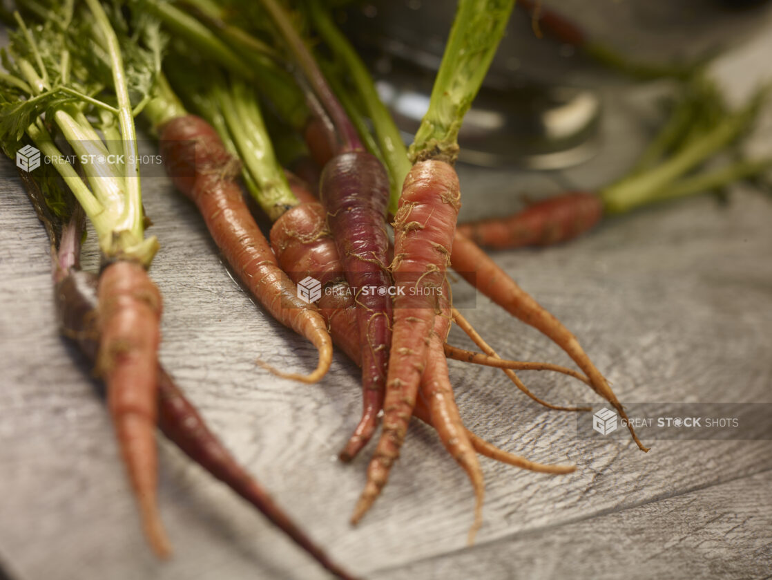 Heirloom carrots with stems and leaves on a grey wooden background