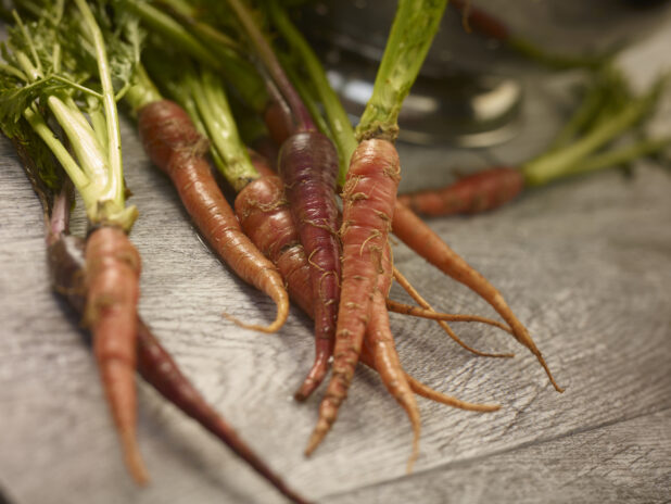 Heirloom carrots with stems and leaves on a grey wooden background