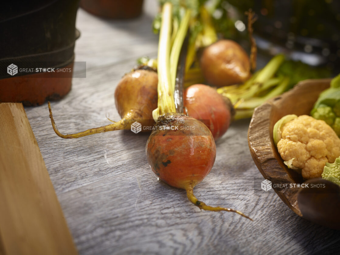 Fresh whole golden beets with stems and leaves in a center view with fresh cauliflower in a bowl on the side