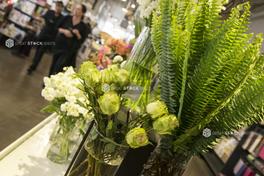 Retail display of ferns and green roses in tall glass vases