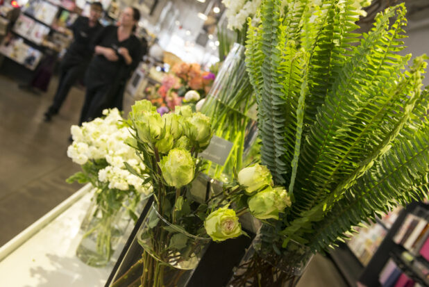 Retail display of ferns and green roses in tall glass vases
