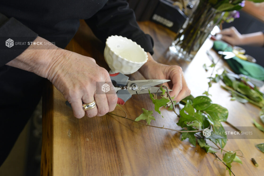 A pair of hands cutting a piece of ivy for a floral arrangement in a floral shop setting