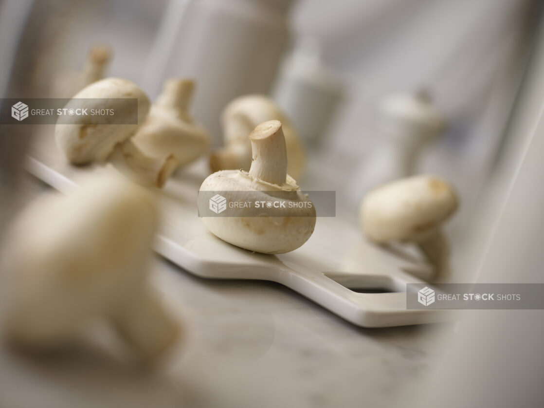 Whole fresh white mushrooms on a white cutting board surrounded by white mushrooms in the foreground and background on a white marble background