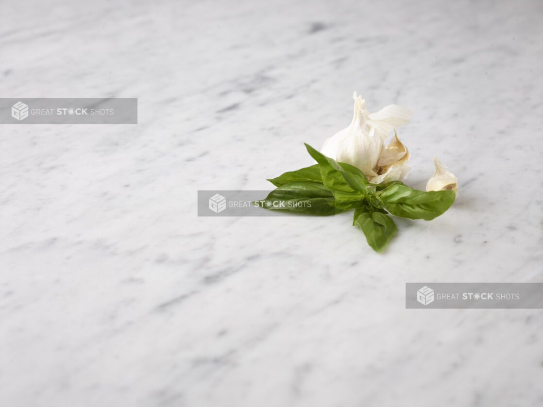 Off center view of fresh basil and a fresh garlic bulb with cloves on a white marble background