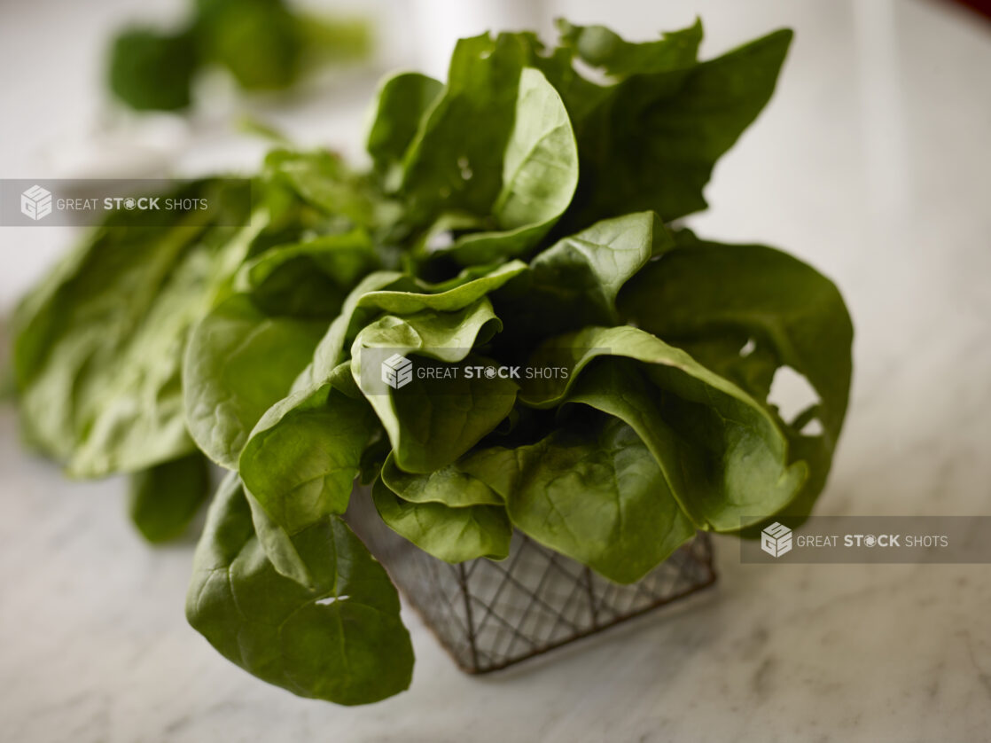 Close up view of whole fresh spinach in a decorative wire basket