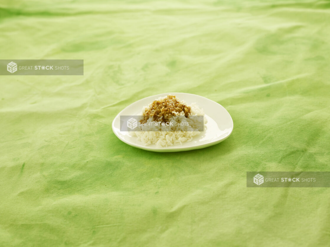 Side of rice with gravy on small white plate on a lemon/lime green tablecloth