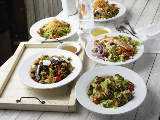 Assortment of main course or family-style salads on a whitewashed wood background