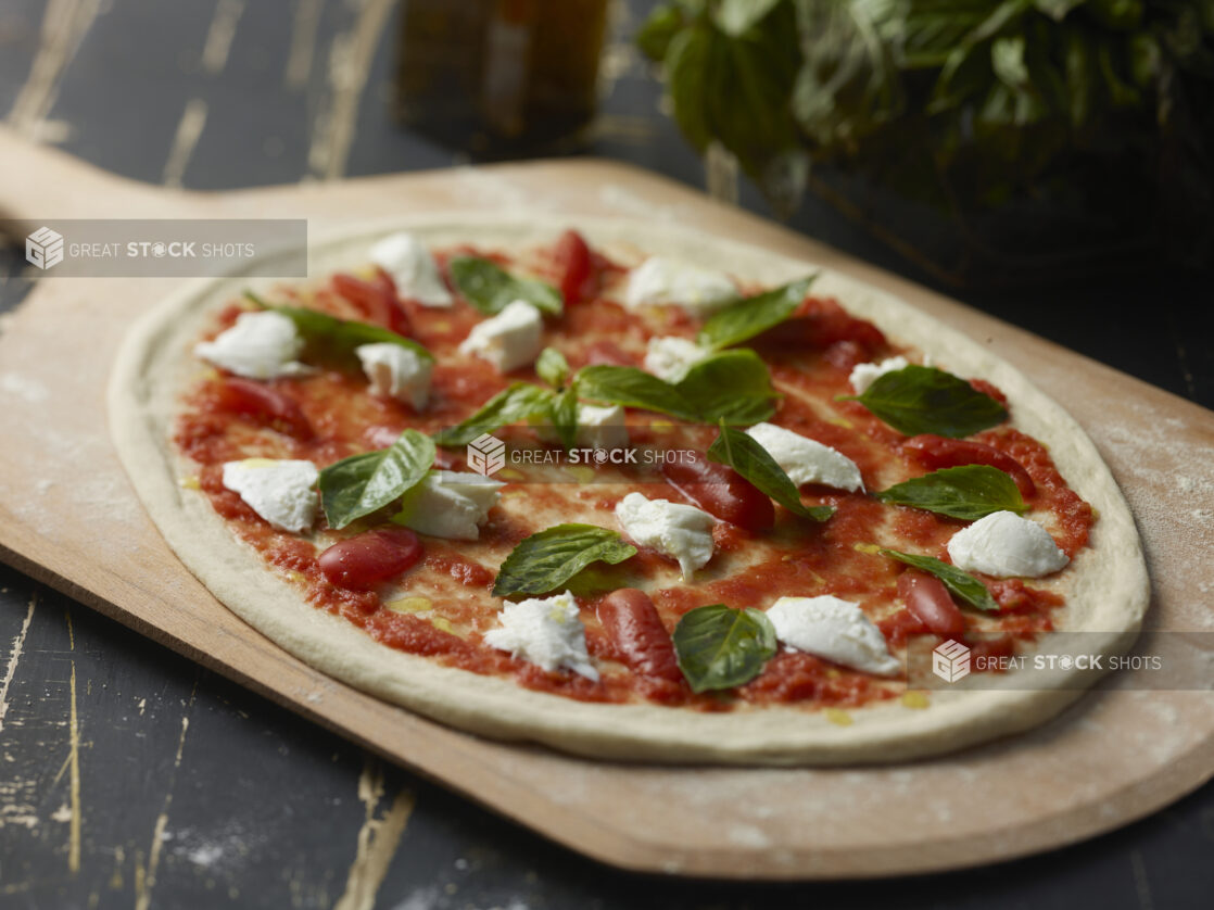 Whole unbaked Margherita pizza ready for the oven on a wood pizza peel, black wood background