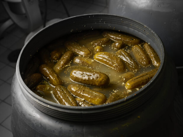 Pickles brining in a large black vat inside a restaurant