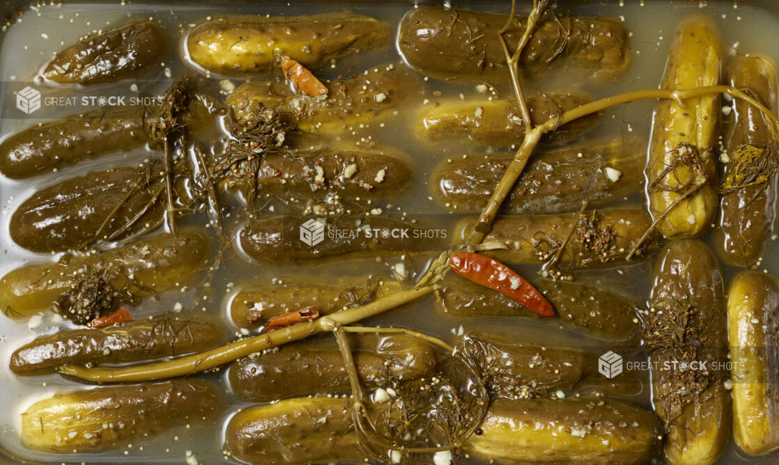 Container of pickles overhead with seasonings in brine