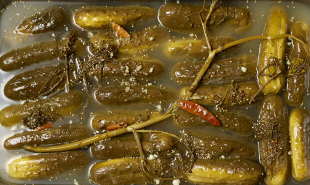 Container of pickles overhead with seasonings in brine