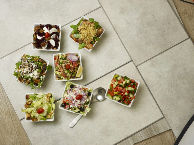 Various vegetarian salads overhead on a tile background