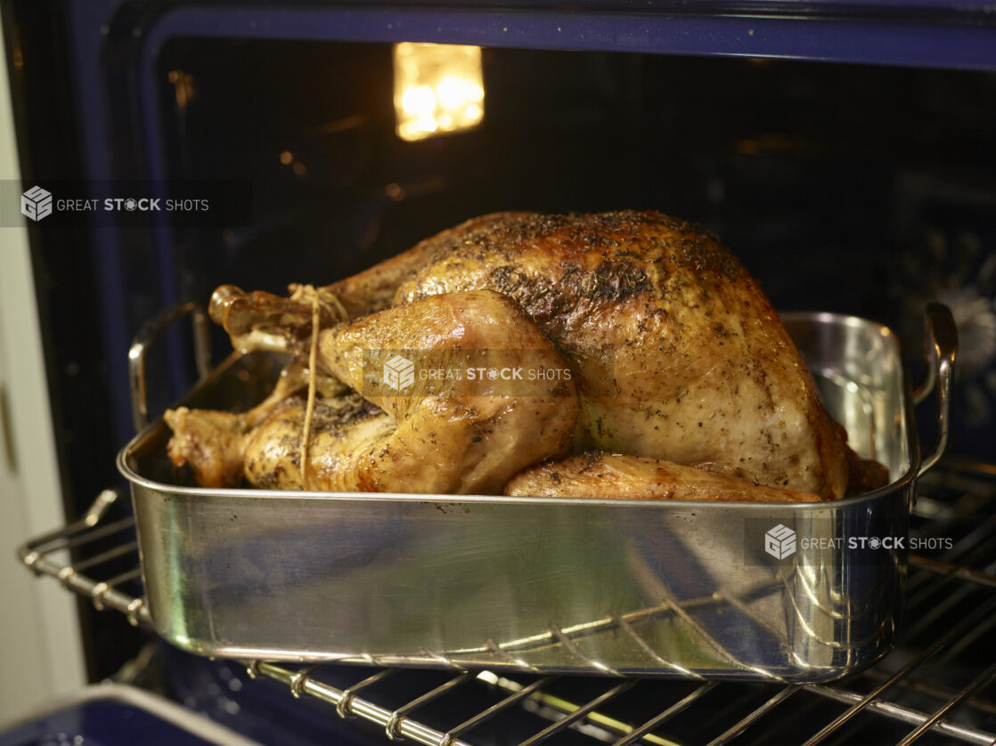 Whole turkey cooked golden brown in a roasting pan sitting inside an open oven