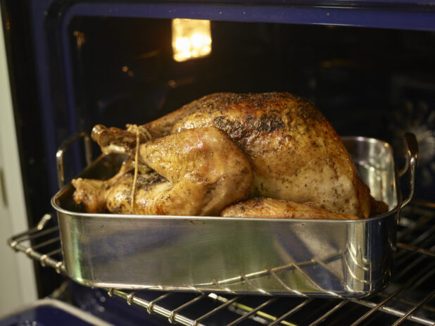 Whole turkey cooked golden brown in a roasting pan sitting inside an open oven