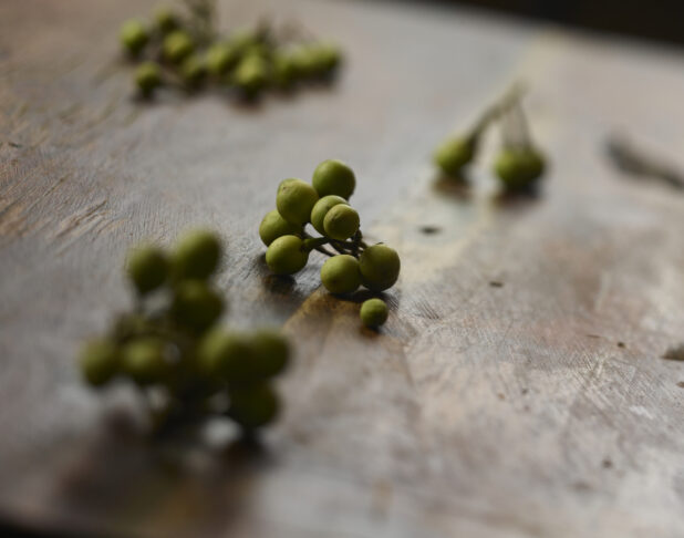 Clusters of fresh olives on the stem with a bokeh wooden background