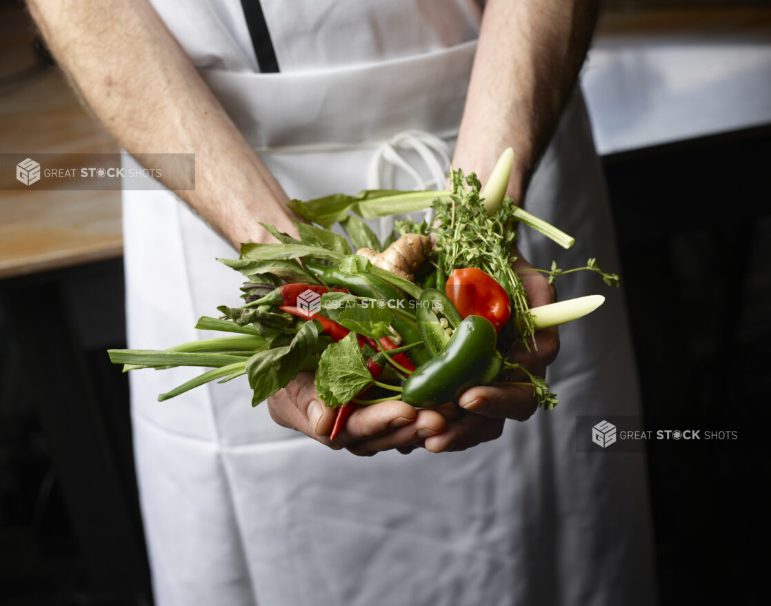 Male chef holding a collection of fresh herbs and peppers in a white apron