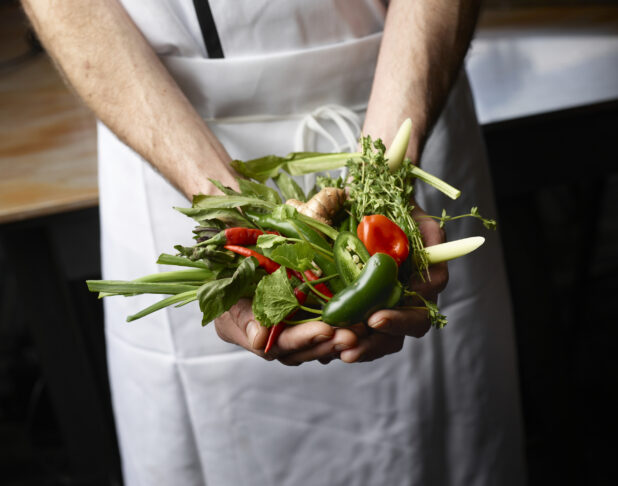 Male chef holding a collection of fresh herbs and peppers in a white apron
