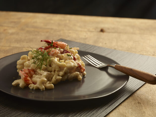 Lobster macaroni and cheese on a dark ceramic plate with a dill garnish and a fork on a dark placemat on a wooden background