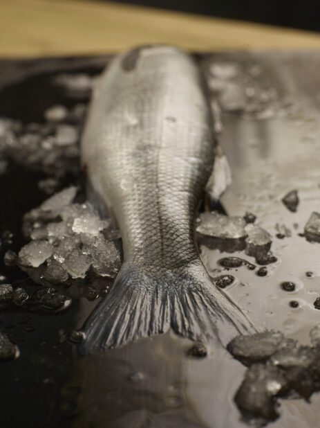 Whole fresh fish on a dark wooden surface surrounded by ice, close up view, tail to head