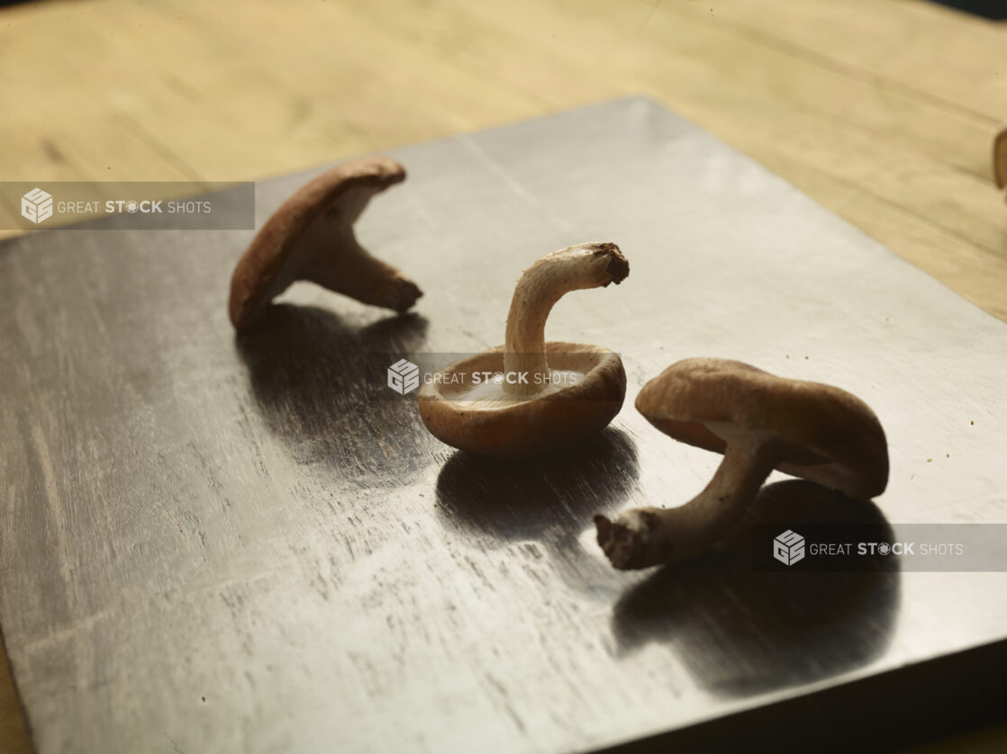 3 whole shiitake mushrooms on a dark wooden board on a wooden background