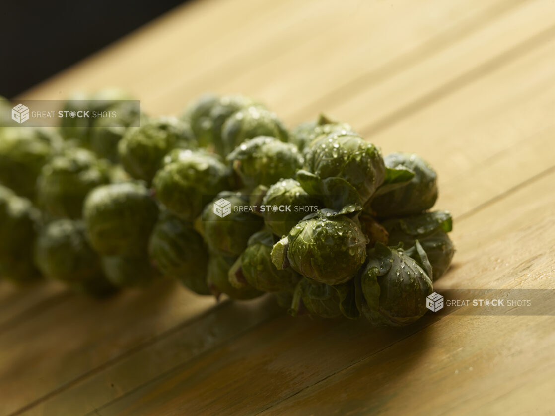 Whole uncooked brussels sprouts on the stem on a wooden background