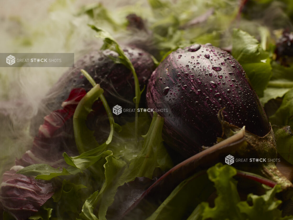 Two wet eggplants on a bed of greens with mist