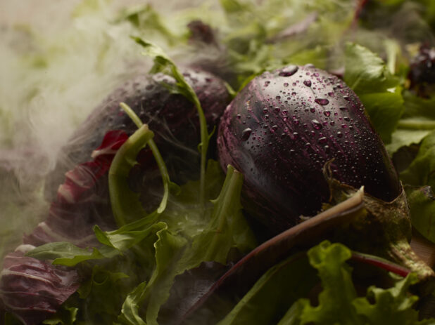 Two wet eggplants on a bed of greens with mist