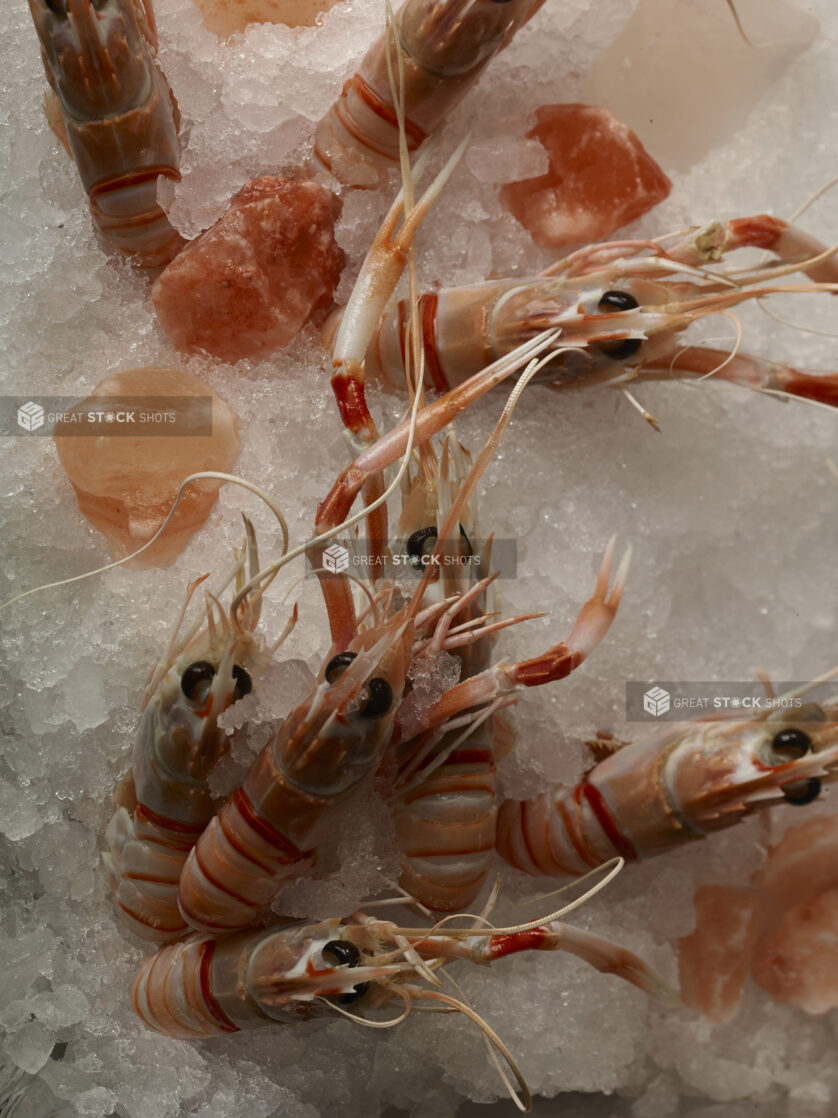 Fresh Argentinian shrimp on ice on parchment paper, close up view