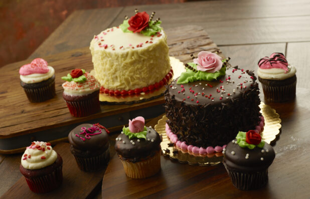 Two Valentine's day decorated cakes with individually decorated cupcakes of chocolate, vanilla and red velvet with frosting on a wood table