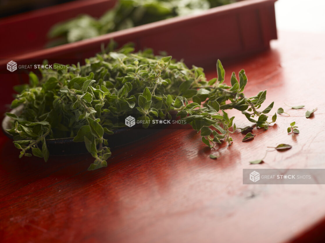 Fresh bunch of thyme with a red container surrounded by other herbs on a red wooden background