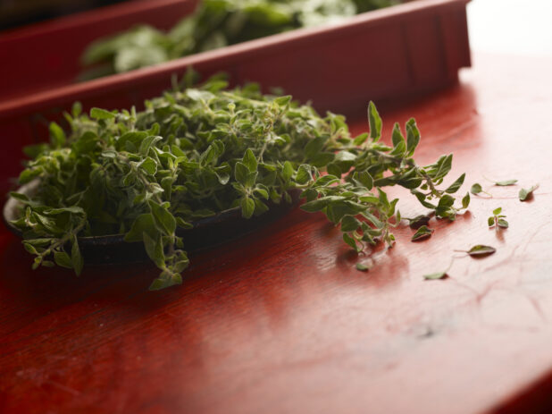 Fresh bunch of thyme with a red container surrounded by other herbs on a red wooden background