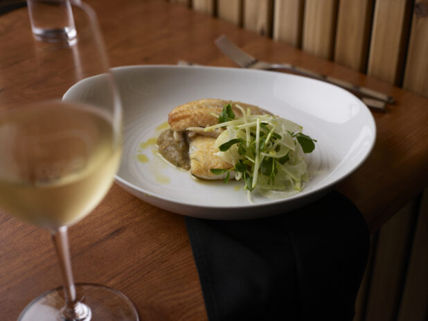 Pan-fried white fish with fennel and microgreens garnish, glass of white wine in foreground