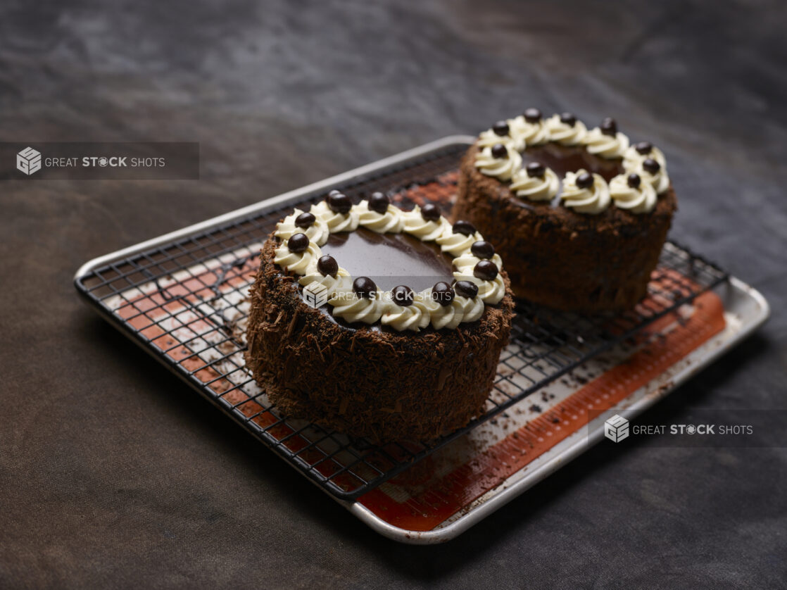 2 beautifully-decorated chocolate mini cakes on a wire rack over a tray lined with a French baking mat