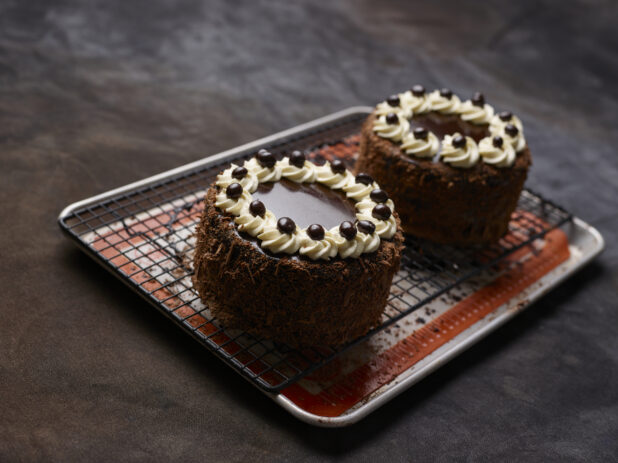 2 beautifully-decorated chocolate mini cakes on a wire rack over a tray lined with a French baking mat
