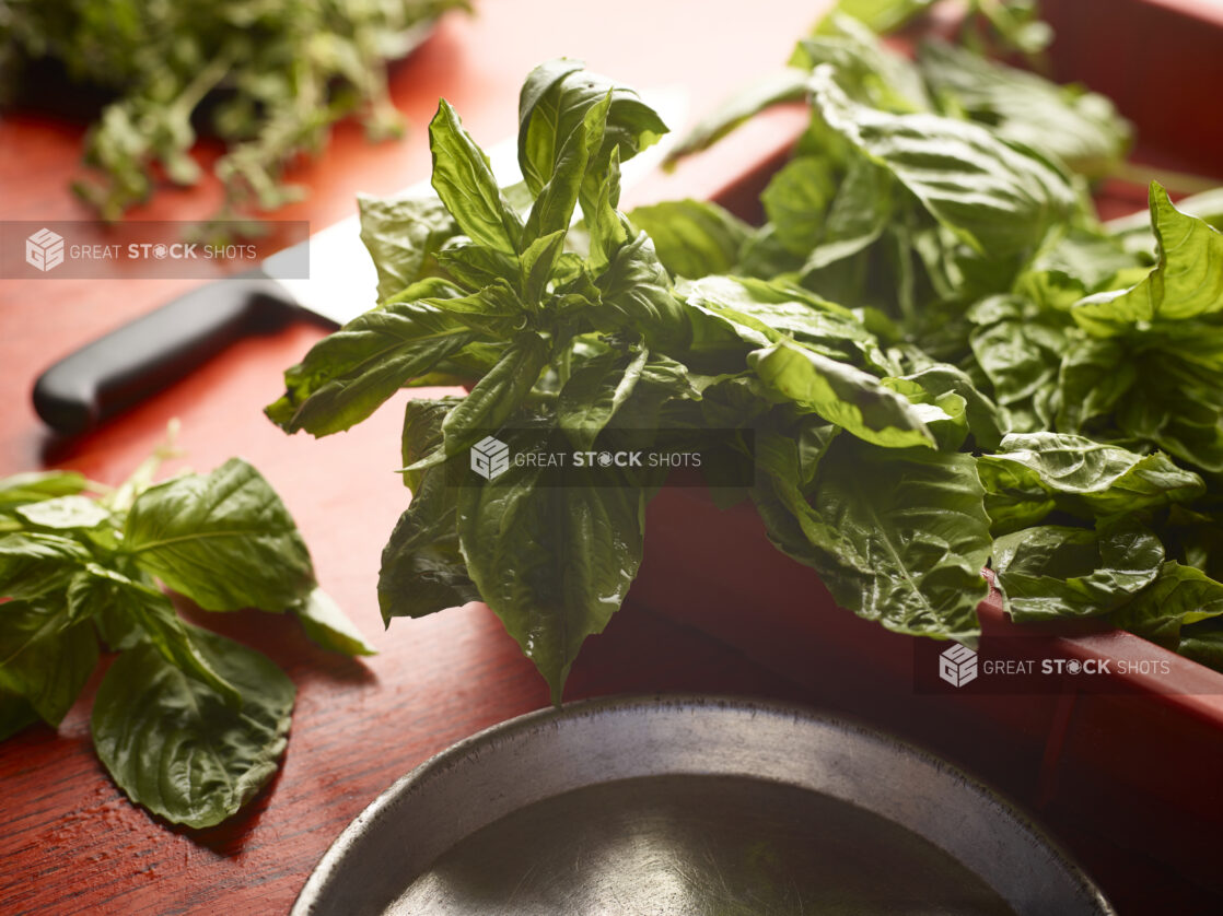 Fresh bunch of basil in a red container surrounded by other herbs on a red wooden background with a knife