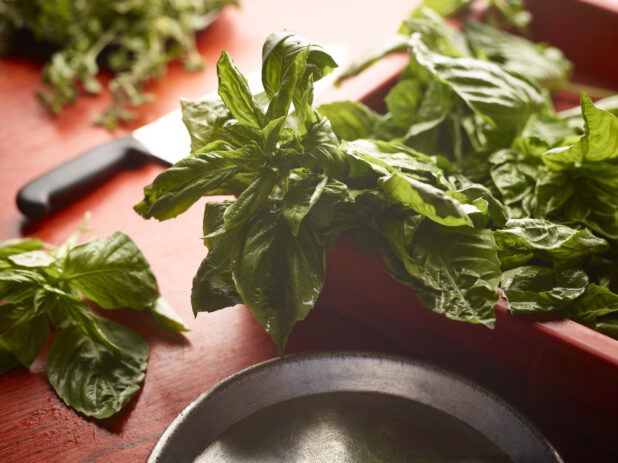 Fresh bunch of basil in a red container surrounded by other herbs on a red wooden background with a knife