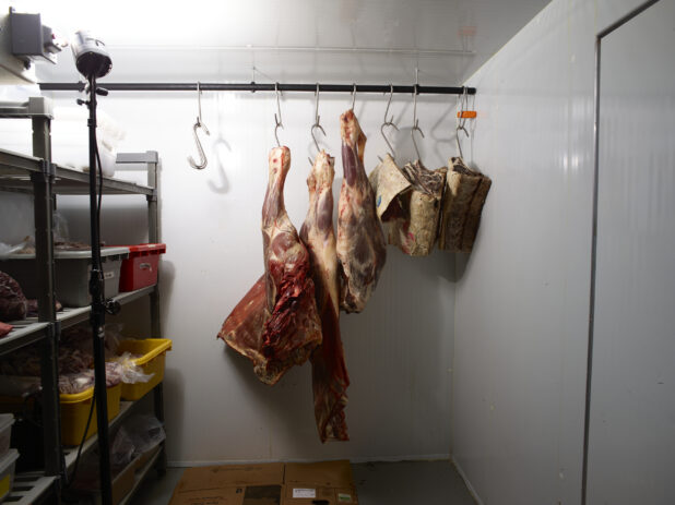 Assorted beef parts hanging on hooks