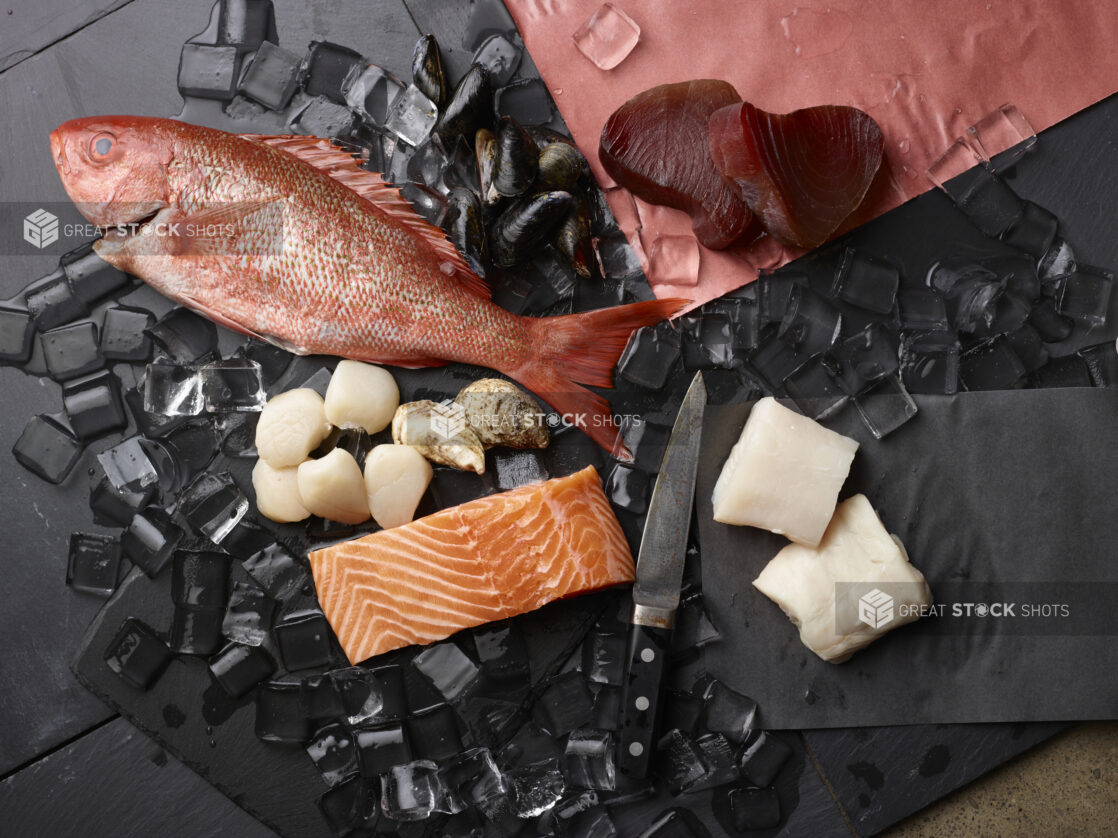 Assorted fresh seafood with a fish knife and ice cubes on a black background