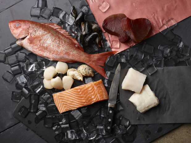 Assorted fresh seafood with a fish knife and ice cubes on a black background